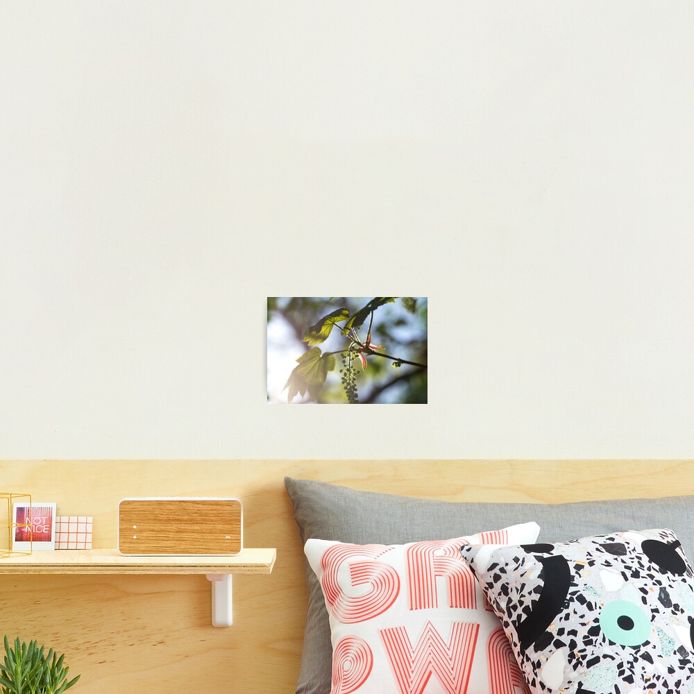 Item preview, Photographic Print designed and sold by CallyM.