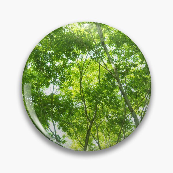 Item preview, New green leaves of a Japanese zelkova tree designed and sold by Masako Ogasawara.