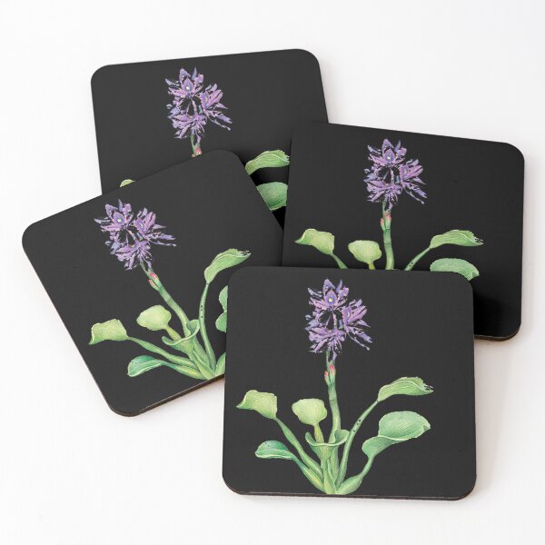 Item preview, Water hyacinth material, water hyacinth designed and sold by Jascooss.
