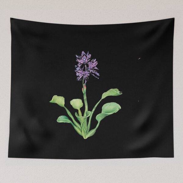 Item preview, Water hyacinth material, water hyacinth designed and sold by Jascooss.