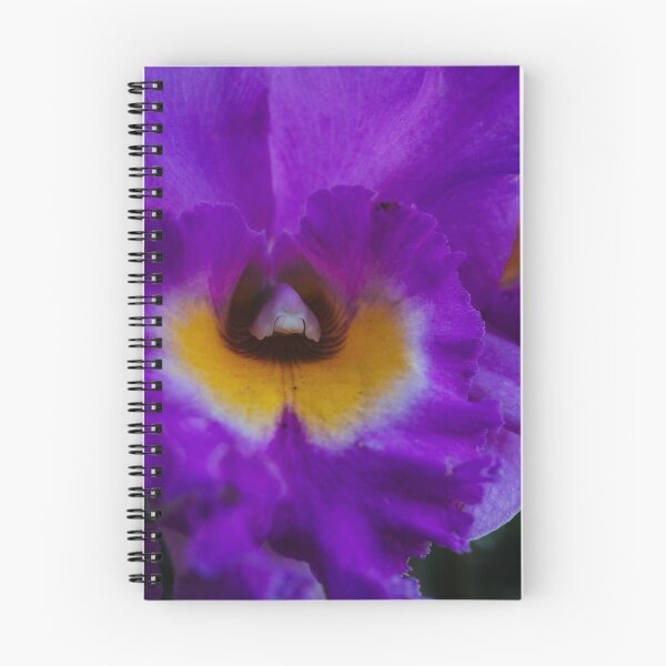 Item preview, Flower with Complementary Color designed and sold by Chee Sim.