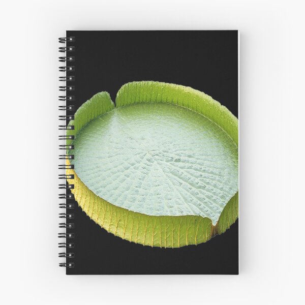 Item preview, Water lily Leaf Nelumbo nucifera Lotus effect designed and sold by joshameron.
