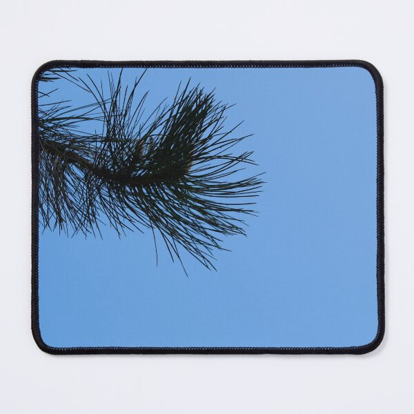 Item preview, Fir branch in front of a beautiful blue sky designed and sold by PausePapote.