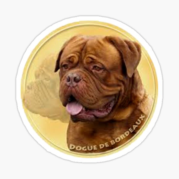 13cm Pet Dog Gift Dogue De Bordeaux Car Sticker 3D Torn Metal Original  Design Vinyl Car Trunk Bumper Custom Brand Decal - AliExpress