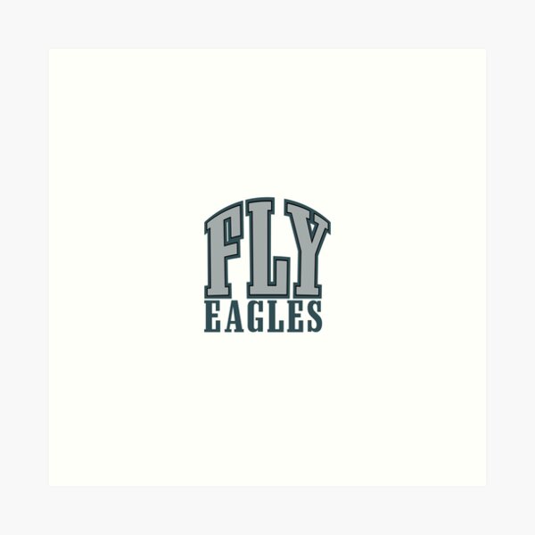 Fly Eagles Fly Eagles Basket #1