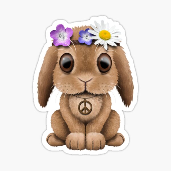 Hippie bunny Clearance