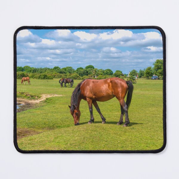 Item preview, The New Forest National Park England Uk With Ponies designed and sold by acceleratorhams.