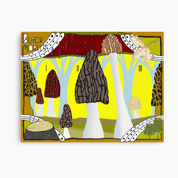 Black Morels Canvas Print