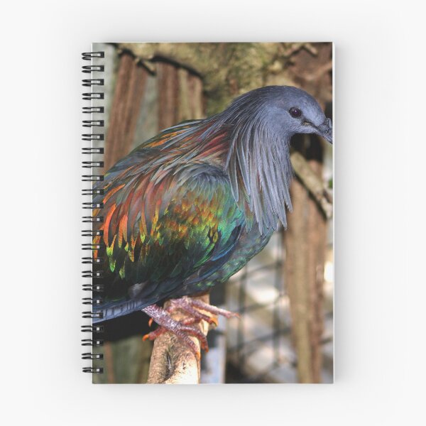Item preview, Rainbow feathered bird designed and sold by Jennifer  Sweeney.