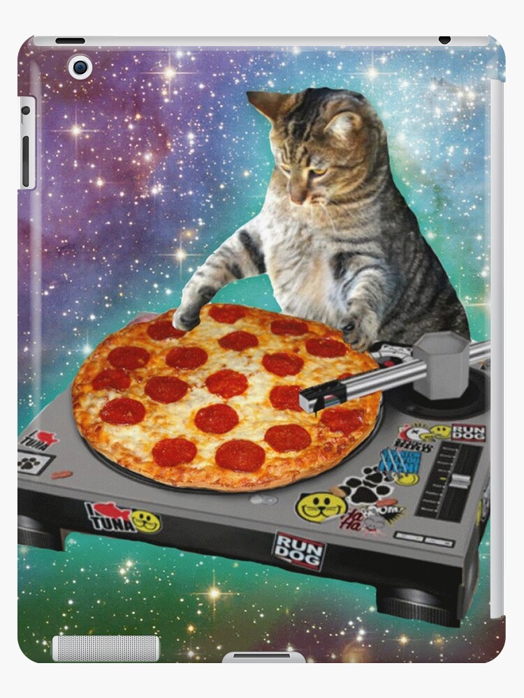 Cat dj iPad Case & Skin for Sale by wildserenity