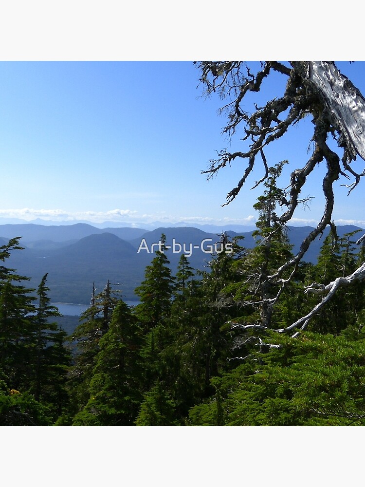 "Hiking views from Skagway, Alaska." Poster for Sale by ArtbyGus