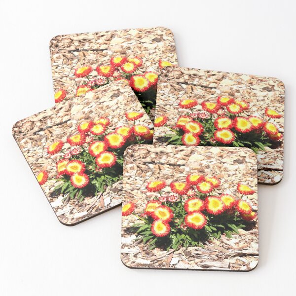 Item preview, Mt Annan Daisies designed and sold by KazM.