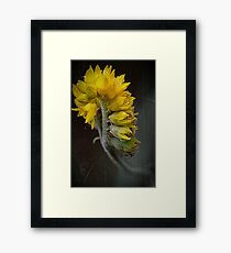 imagination Framed Print