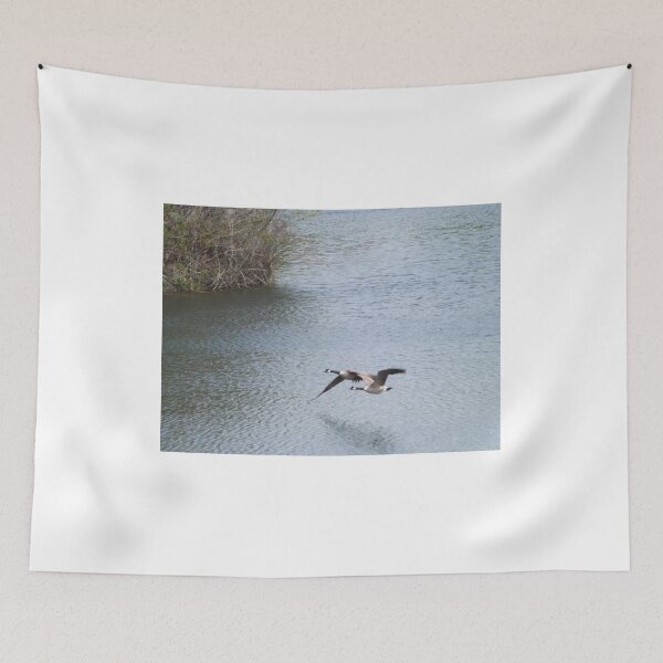 Item preview, Flying Canada Geese, Jersey City, New Jersey designed and sold by lenspiro.