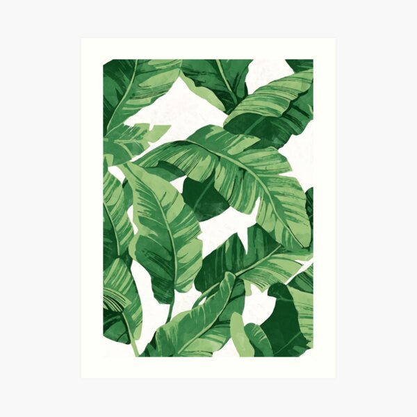Tropical banana leaves II Art Print