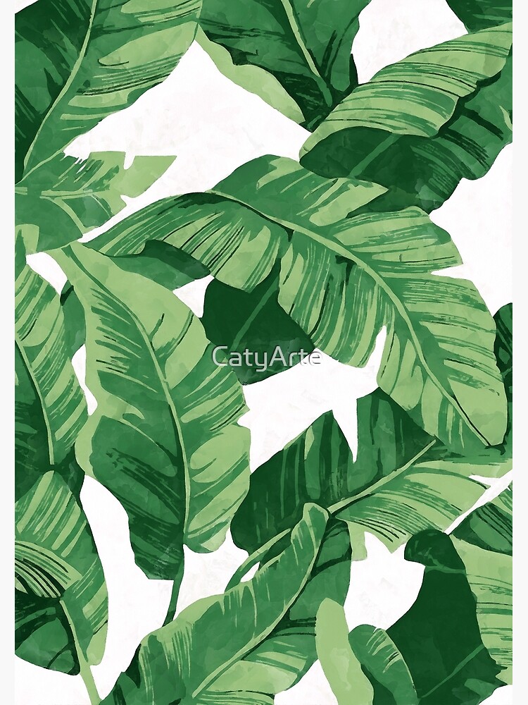 Tropical banana leaves II by CatyArte