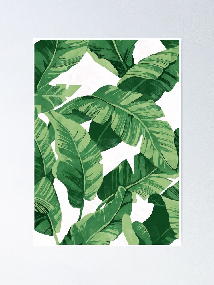 Alternate view of Tropical banana leaves II Poster