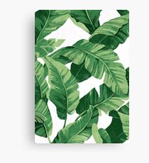 Tropical banana leaves II Canvas Print