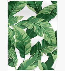 Tropical banana leaves II Poster