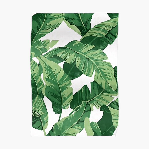 Tropical banana leaves II Poster