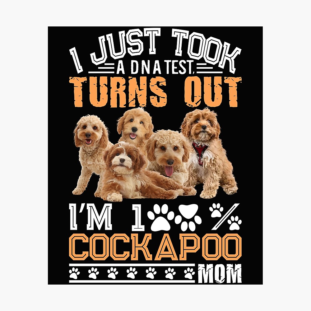 cockapoo dna testing