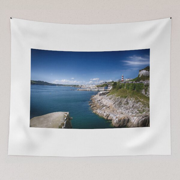 Item preview, Plymouth Foreshore designed and sold by days-photographic.