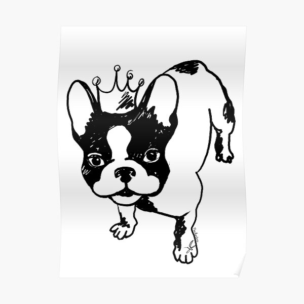 French bulldog Póster