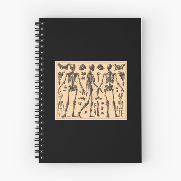 Item preview, Vintage Human Skeleton Anatomy Diagram (1907) Classic  designed and sold by keatnybolho.