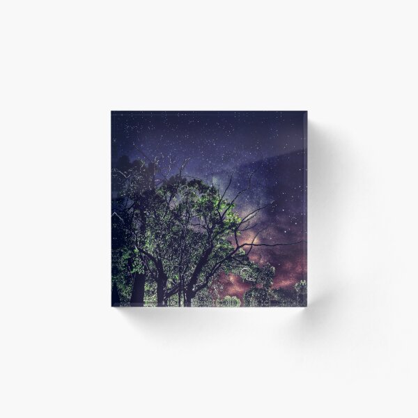 Misty Skies, Trees & Stars Acrylic Block