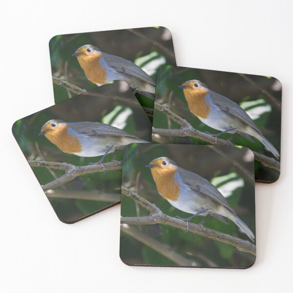 Item preview, Robin designed and sold by days-photographic.
