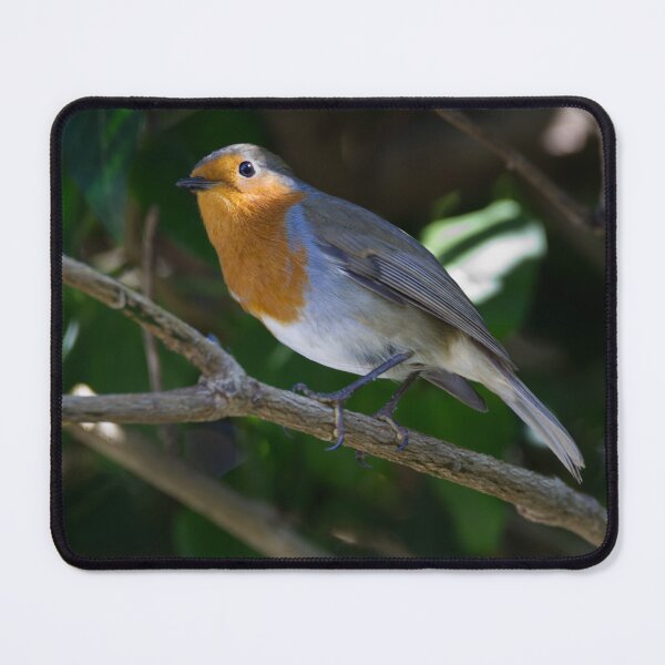 Item preview, Robin designed and sold by days-photographic.
