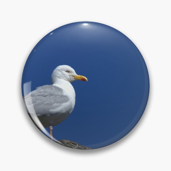 Item preview, Herring Gull designed and sold by days-photographic.