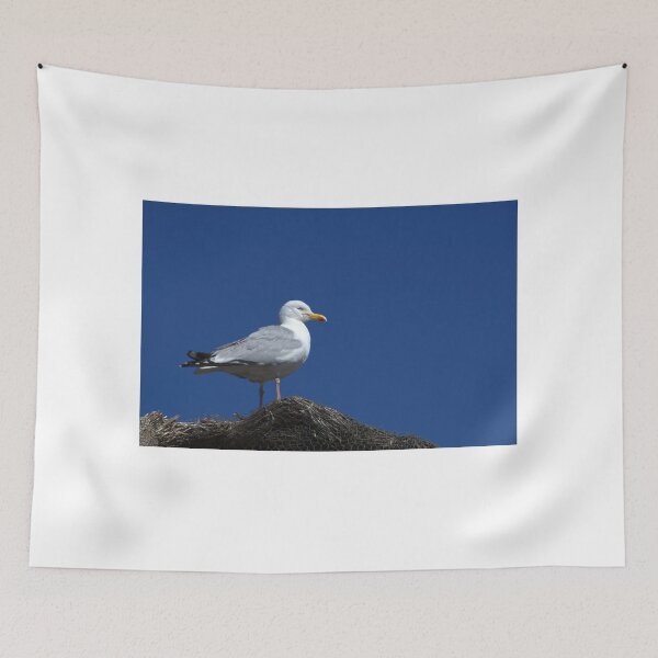 Item preview, Herring Gull designed and sold by days-photographic.