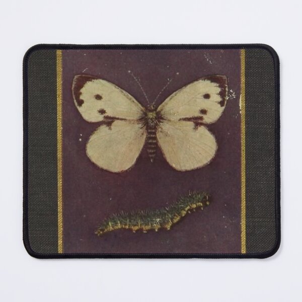 Item preview, Butterflies shown to the Children (1862) - Vintage Book Cover designed and sold by SALON DES ARTS.