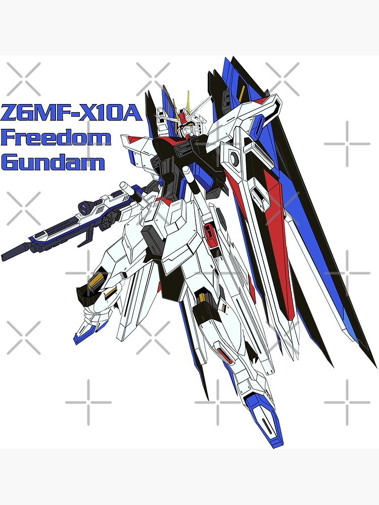 mg gundam seed freedom gundam stores