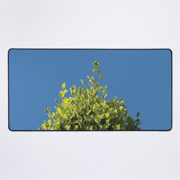 Item preview, Beeching Up designed and sold by GeeeDeeeBeee.