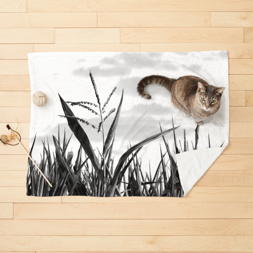Item preview, Pet Blanket designed and sold by GeeeDeeeBeee.