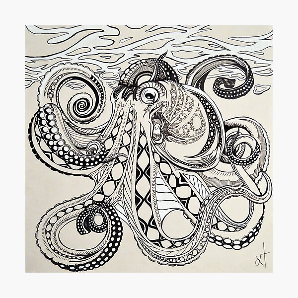 Hank the Octopus Photographic Print