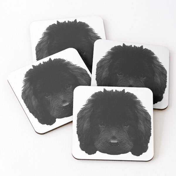 Item preview, Newfoundland pup, cute puppies, dog breeds designed and sold by Kirei-Lily.