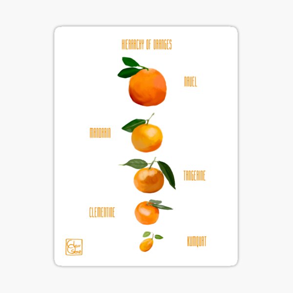 Hierarchy of Oranges Sticker