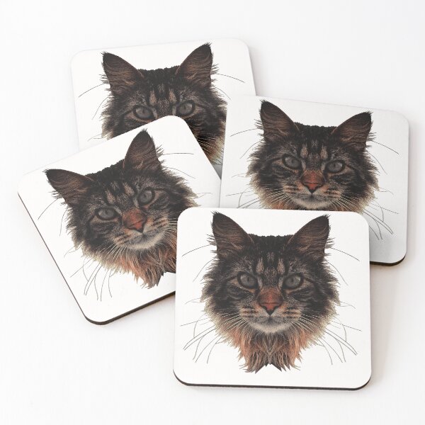 Item preview, Maine Coon cat, the most beautiful cat photos, popular cat designs designed and sold by Kirei-Lily.