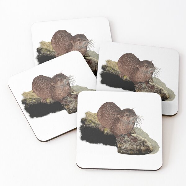 Item preview, Otter on stone, aquatic animals, otter shirts, cute wild animal designs designed and sold by Kirei-Lily.