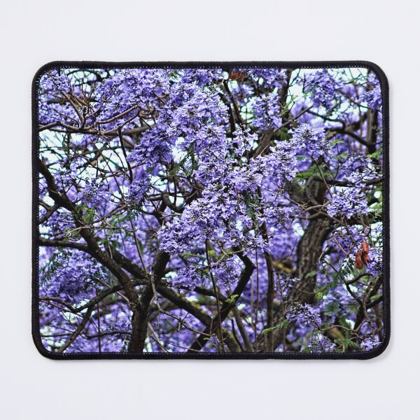 Item preview,  Jacaranda Tree Branch Flowering Blooming Spring Flowers  designed and sold by Anna Lemos.