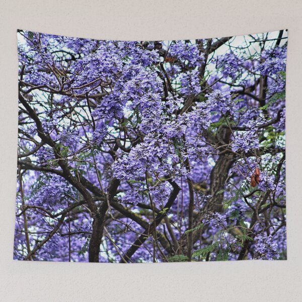 Item preview,  Jacaranda Tree Branch Flowering Blooming Spring Flowers  designed and sold by Anna Lemos.