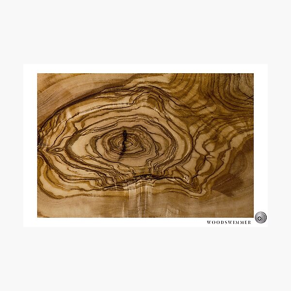 WoodSwimmer Still no.4, Olive Wood Photographic Print