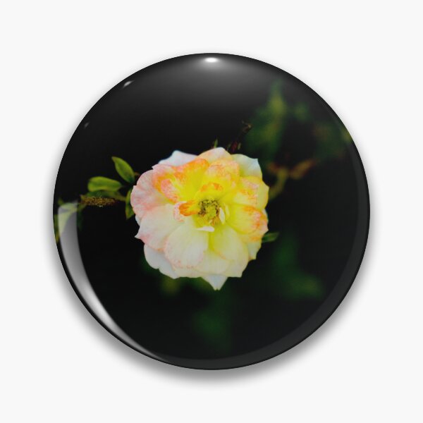 Item preview, White Rose designed and sold by mylensflow.