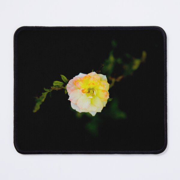Item preview, White Rose designed and sold by mylensflow.