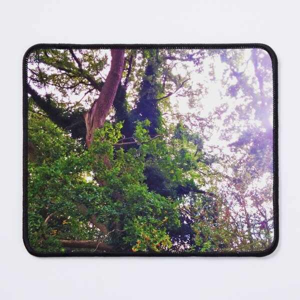 Item preview, #233 |☼| Shining Through Trees - Shot 2 (Elsham Hall, Gardens & Country Park) designed and sold by Naean H.F. (Nez Man).