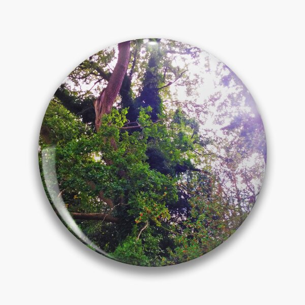 Item preview, #233 |☼| Shining Through Trees - Shot 2 (Elsham Hall, Gardens & Country Park) designed and sold by Naean H.F. (Nez Man).