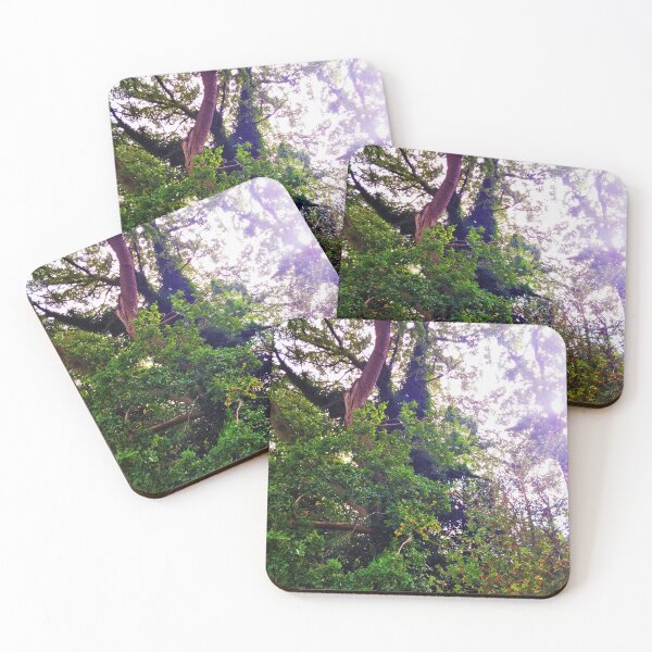 Item preview, #233 |☼| Shining Through Trees - Shot 2 (Elsham Hall, Gardens & Country Park) designed and sold by Naean H.F. (Nez Man).